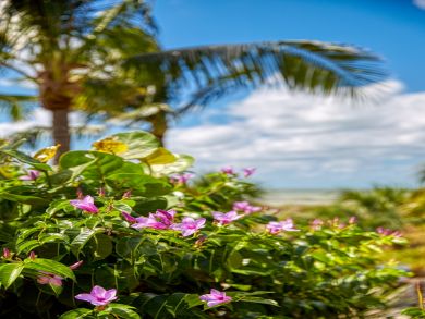 Lovely Cottage Captiva Around 300ft to the Beach